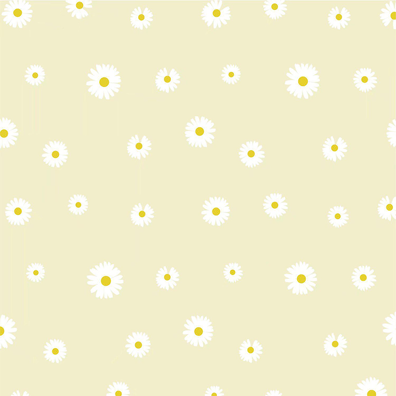 MYHC-18 Scannán Fresh Little Daisy Pearl Timfhilleadh Bláthanna