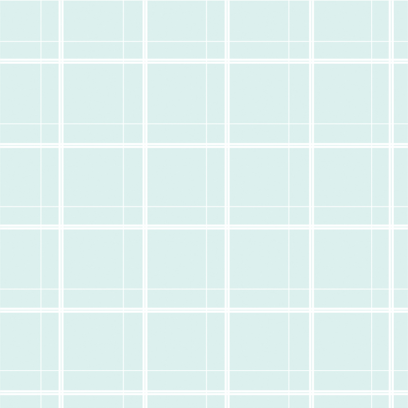 Páipéar beartán bláth líne checkered ocht-dath