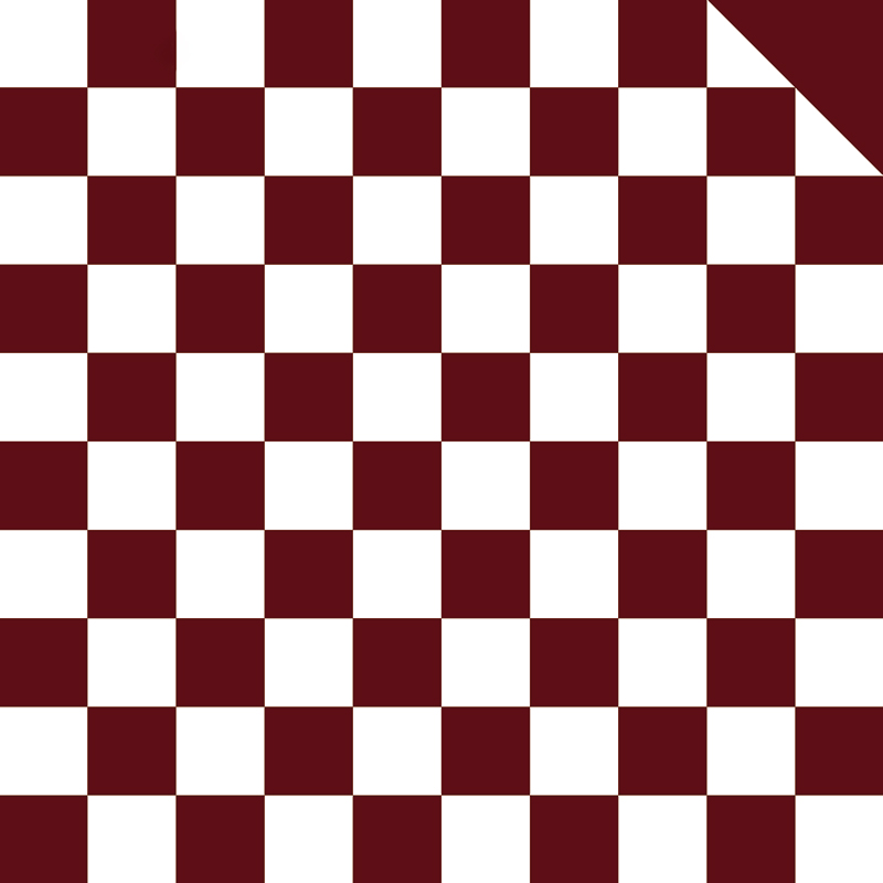 Páipéar beartán bouquet checkered dhá dhath