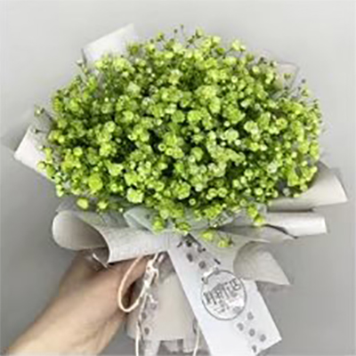Páipéar Timfhilleadh Bouquet Uigeacht Simplí